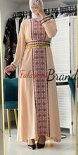 Royal Nude and Golden Embroidered Dress and Abaya Set